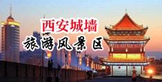 亚洲无码熟妇淫贼中国陕西-西安城墙旅游风景区