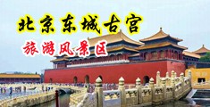 男人艹小骚逼中国北京-东城古宫旅游风景区